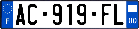 AC-919-FL