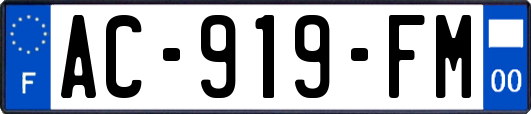 AC-919-FM