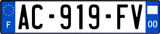 AC-919-FV