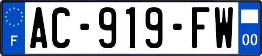 AC-919-FW