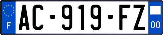 AC-919-FZ