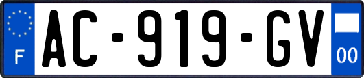 AC-919-GV
