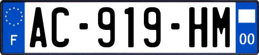 AC-919-HM