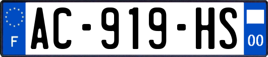 AC-919-HS
