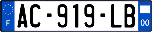 AC-919-LB