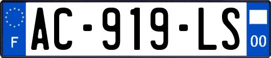 AC-919-LS
