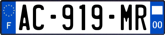 AC-919-MR