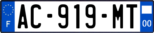 AC-919-MT
