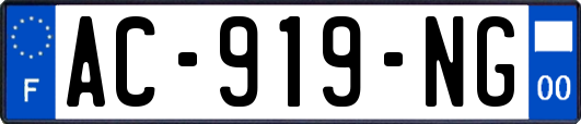 AC-919-NG