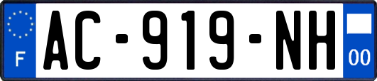 AC-919-NH