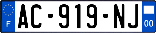 AC-919-NJ