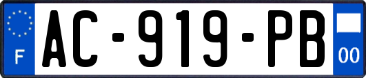 AC-919-PB