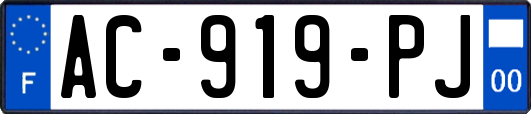 AC-919-PJ