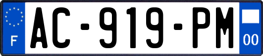 AC-919-PM