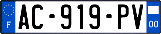 AC-919-PV