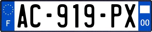 AC-919-PX