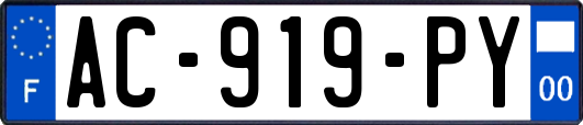 AC-919-PY