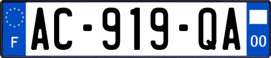 AC-919-QA