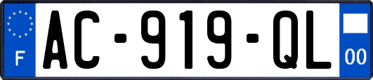 AC-919-QL