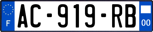 AC-919-RB