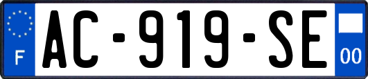 AC-919-SE