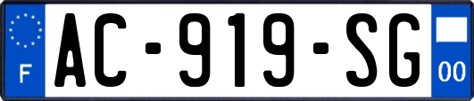 AC-919-SG