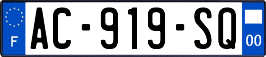 AC-919-SQ