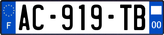 AC-919-TB