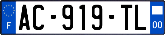 AC-919-TL