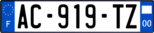 AC-919-TZ