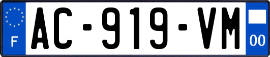 AC-919-VM