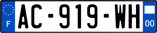 AC-919-WH