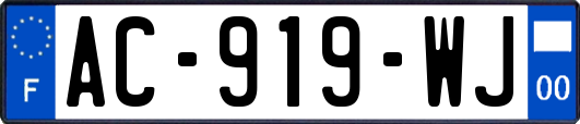 AC-919-WJ