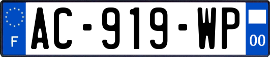 AC-919-WP