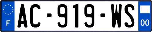 AC-919-WS