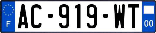 AC-919-WT