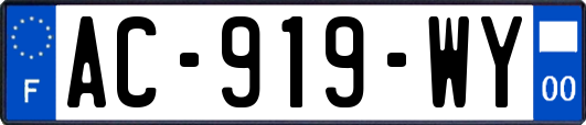 AC-919-WY