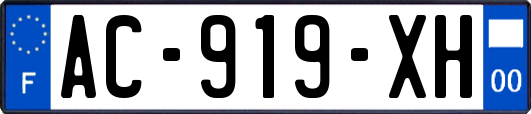 AC-919-XH