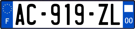 AC-919-ZL