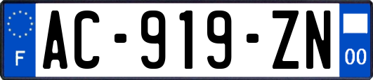 AC-919-ZN