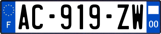 AC-919-ZW