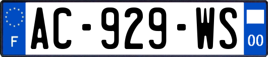 AC-929-WS