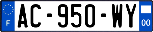 AC-950-WY