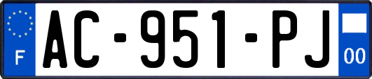 AC-951-PJ