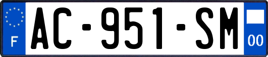 AC-951-SM