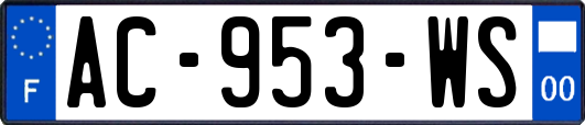AC-953-WS