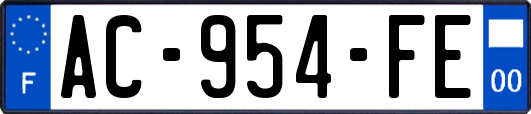 AC-954-FE
