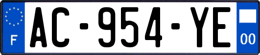 AC-954-YE