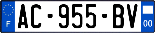 AC-955-BV