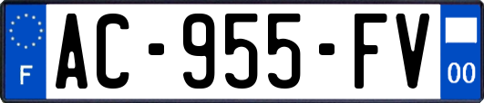 AC-955-FV